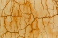 Natural abstract background of textured cracked wall of orange color. Royalty Free Stock Photo