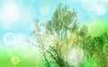 Natural abstract background with trees