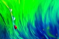 Natural abstract summer spring background. Red ladybug and dew drops against the background of green and blue bright grass. Royalty Free Stock Photo