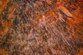 Natural abstract texture with sharp spikes of stalactites on the ceiling of Damlatas cave Alanya, Turkey. Brown-orange pattern