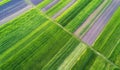 Natural aerial landscape on the agricultural subject