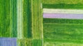 Natural aerial landscape on the agricultural subject