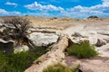 Agate Bridge in the Petrified Forest Royalty Free Stock Photo