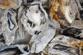 natural agate texture Royalty Free Stock Photo
