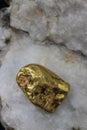 Natural Alaskan Gold Nugget - Placer Gold Royalty Free Stock Photo