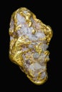 Natural Alaskan Gold Quartz Specimen Royalty Free Stock Photo