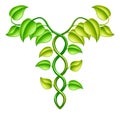 Natural or alternative medicine concept