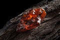 Natural amber. A piece of yellow and red semi transparent natural amber on piece of stoned wood.