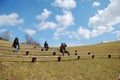 Natural amphitheatre