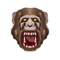 Natural angry monkey head illustration vector