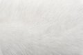 Natural animal fur background texture. white arctic polar fox wool close-up Royalty Free Stock Photo