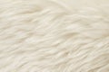 Natural animal white wool seamless texture background. light sheep wool. texture of fluffy fur for designers. close-up fragment