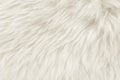 Natural animal white wool seamless texture background. light sheep wool. texture of fluffy fur for designers. close-up fragment