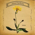 Natural Apothecary Arnica Flower