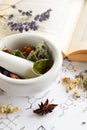 Natural apothecary with herbs and book Royalty Free Stock Photo