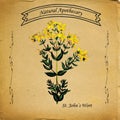 Natural Apothecary St John's Wort