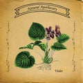 Natural Apothecary Violet