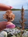 Natural Aragonite Cluster Gems Lake Stones Gems River Water Rocks