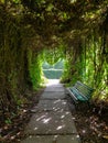 A natural arch with a leafy tunnel and a bench in a public landscaped park