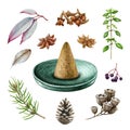 Natural aroma set watercolor illustration. Aroma pyramid stick on the stand, aromatic herbs, eucalyptus, pine, thyme