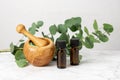 Natural aromatherapy with eucalyptus essential oil in bottles, aromatic bath salt and eucalyptus branch. Herbal spa