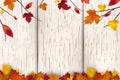 Natural Autumn background design. Autumn leaf fall, autumnal falling leaves on white wooden background. Vector autumnal