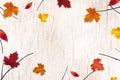 Natural Autumn background design. Autumn leaf fall, autumnal falling leaves on white wooden background. Vector autumnal