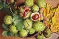 Green and thorny horse chestnut fruits in interior, top view.