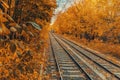 Natural autumn landscape of golden park, leaf fall. Tram rails going into the distance, tram on the horizon Royalty Free Stock Photo