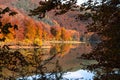 natural autumn window trees reflected in lake many colors by the change of season Royalty Free Stock Photo