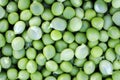 natural backdrop of the many round ripe green peas