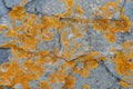 Natural backgound. Texture of slatestone with corrosion pattern Royalty Free Stock Photo
