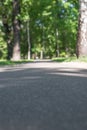 Natural background. An asphalted road in a park surrounded by trees. Vertical frame Royalty Free Stock Photo