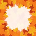 Natural background for autumn concept, frame with fallen leaves in warm colours