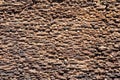 Natural background of the bark. Royalty Free Stock Photo