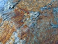 Natural background, beautiful color texture. Relief texture of a stone in autumn forest Royalty Free Stock Photo