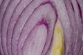 Natural background.Beautiful cut texture of purple onion. Royalty Free Stock Photo