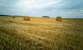 Natural background and beautiful natural landscape.A field with harvested wheat. The concept of harvesting, reaping Royalty Free Stock Photo