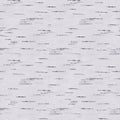 birch seamless pattern Royalty Free Stock Photo