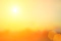 Natural background blurring.warm colors and bright sun light. bo Royalty Free Stock Photo