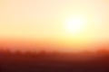 Natural background blurring.warm colors and bright sun light. Royalty Free Stock Photo