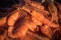Natural background of boiled shrimp Royalty Free Stock Photo