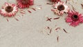 Natural background with bright dried flowers gerbera with copy space