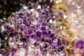 Natural background - cluster of violet amethyst crystals Royalty Free Stock Photo