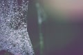 Natural background Cobweb dew Blurred Background. Dew on spider web Royalty Free Stock Photo