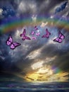 Natural background with colorful butterflies flying with rainbow in sea reflection hith