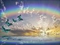 Natural background with colorful butterflies flying with rainbow in sea reflection hith