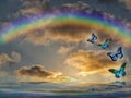 Natural background with colorful butterflies flying with rainbow in sea reflection hith