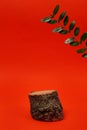 Natural background for cosmetic products. wooden podium with green branch on red background with copy space