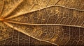 Natural background, autumn leaf texture, generative AI. Royalty Free Stock Photo